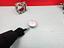 Immagine 7
