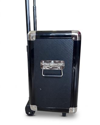 Cassa Acustica Portatile Trolley Majestic