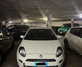 Fiat Punto Evo Benzina/Gpl ok neop