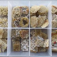 elementi in corno per orecchini/collane