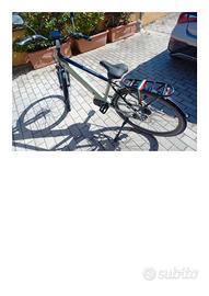 Bici elettrica Armony Monza