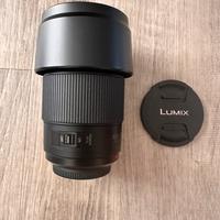 Panasonic 100-300 f4 -5.6 II