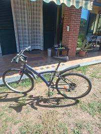 Bicicletta mountain bike