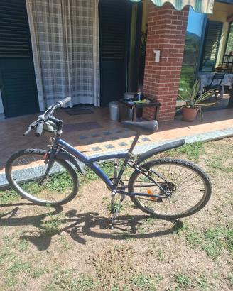 Bicicletta mountain bike