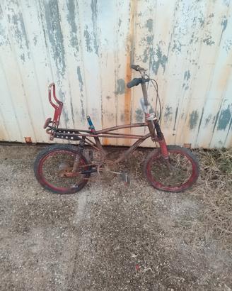 saltafoss bici scocca 