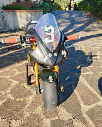 midi moto DM 50 con 2 motori BZM a liquido 