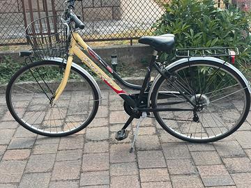 Bicicletta da donna