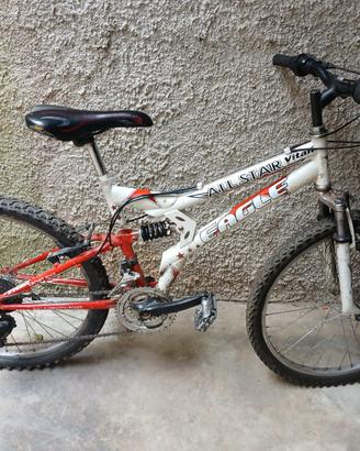 Bicicletta 8-12 anni