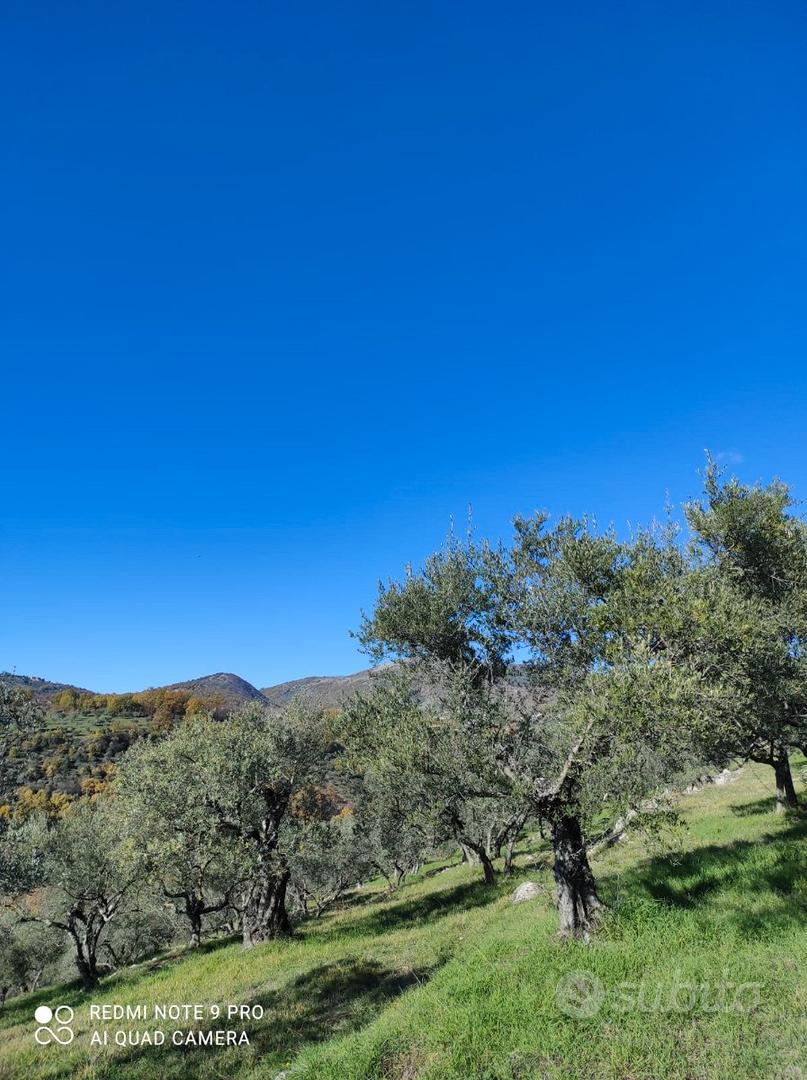 Terreno Agricolo Colleberardi - Vista 2