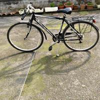 Bici Bottecchia Verde Natura 