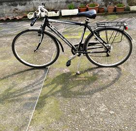 Bici Bottecchia Verde Natura 