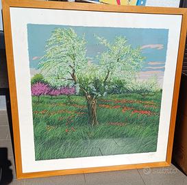 Azzinari litografie cm 80x80