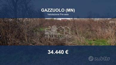 Immobile in asta di 3090 m² a Gazzuolo