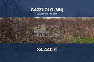 Immobile in asta di 3090 m² a Gazzuolo