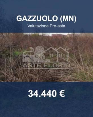 Immobile in asta di 3090 m² a Gazzuolo