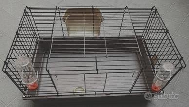 gabbia