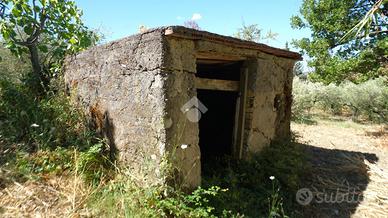 TER. AGRICOLO A MONTECORVINO ROVELLA