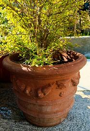 vaso in cotto decorato con melograno