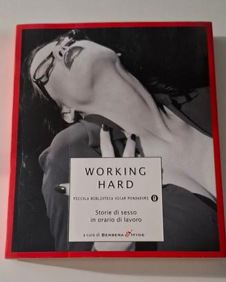 Working hard. Storie di sesso in orario di lavoro
