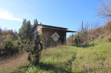 CASA INDIPENDENTE A POGGIO MIRTETO