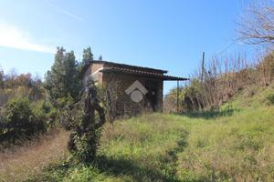 CASA INDIPENDENTE A POGGIO MIRTETO