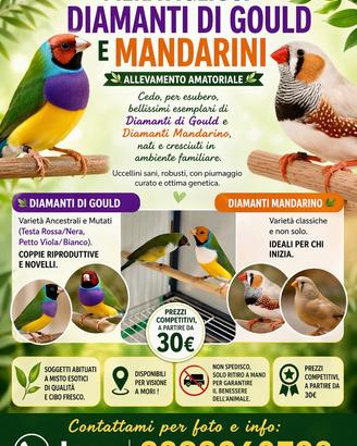 Diamanti di Gould e Mandarini
