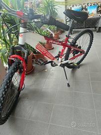 Bicicletta MTB