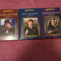 Harry Potter guida ai film