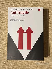 Nassim Nicholas Taleb - Antifragile