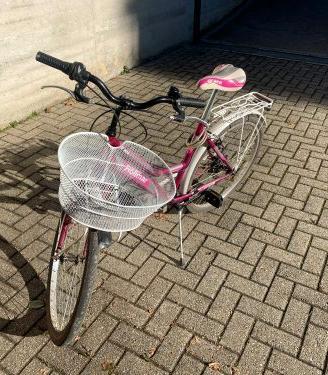 Bici da ragazzaRollman