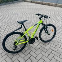 Bicicletta mtb