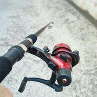 Canna da pesca Shine 3m