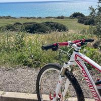 Specialized Mtb carbonio
