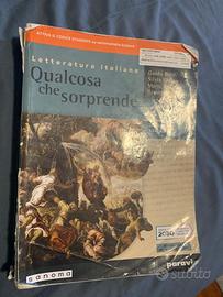 Qualcosa che sorprende 2 libro di letteratura ita