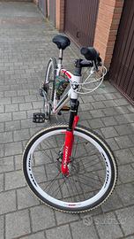 MTB Torpado 26