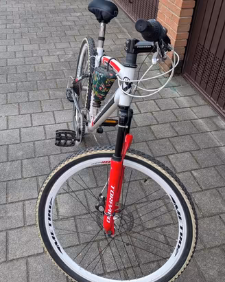 MTB Torpado 26