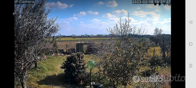 Edificabile Terreno attrezzato edifiicabile ,capua