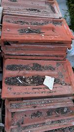 Tegole di tipo Marsigliese