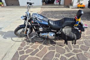 Harley super glide