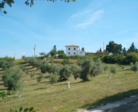 Appartamento maremma toscana