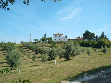 Appartamento maremma toscana