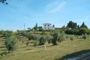 Appartamento maremma toscana