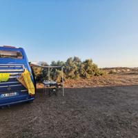 camper T4 Westfalia exclusive