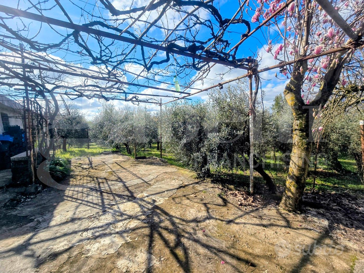 Rustico/Casale/Corte Artena [Cod. rif 3298235VCG] - Vista 4