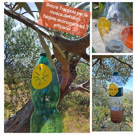 10 trappole per Mosca Olive, vespe, calabroni, 