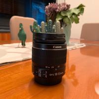 Canon EFS 18-55  (1:3,5-5,6 IS II)