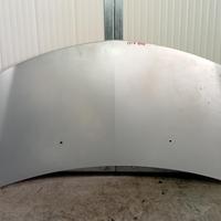 COFANO ANTERIORE RENAULT Clio Serie (04>08)