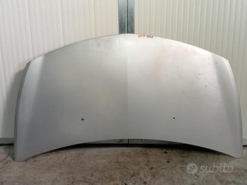 COFANO ANTERIORE RENAULT Clio Serie (04>08)