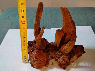 Decorazione acquario - piante