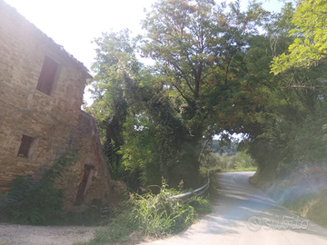Rustico con terreno